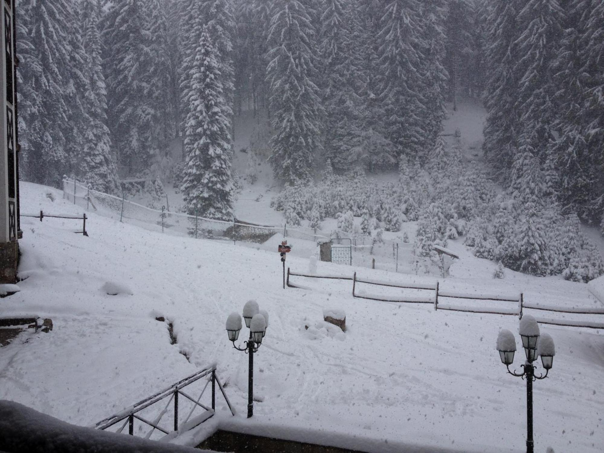 Ski Apartment In Castle Complex Pamporovo Exterior photo