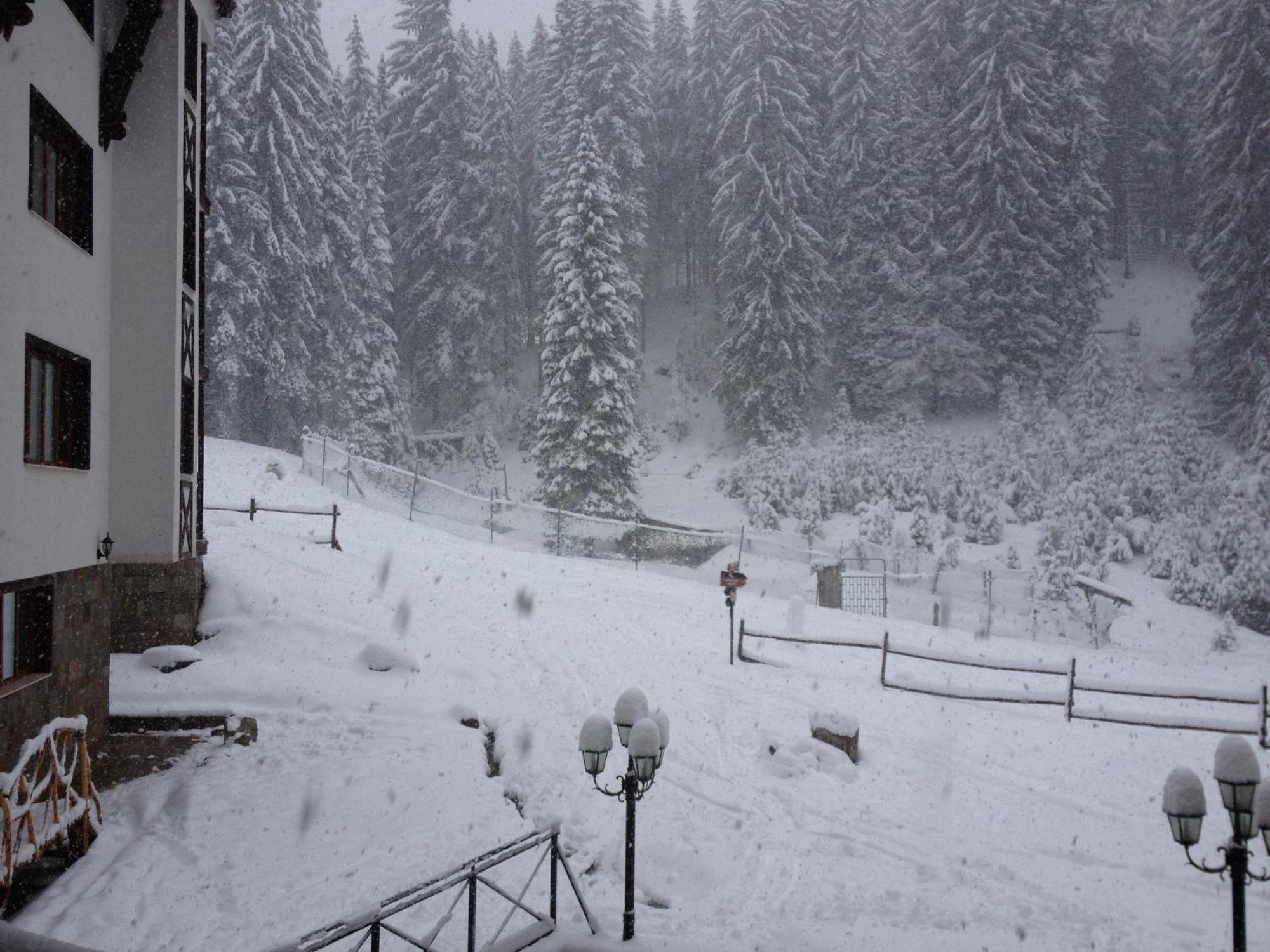 Ski Apartment In Castle Complex Pamporovo Exterior photo