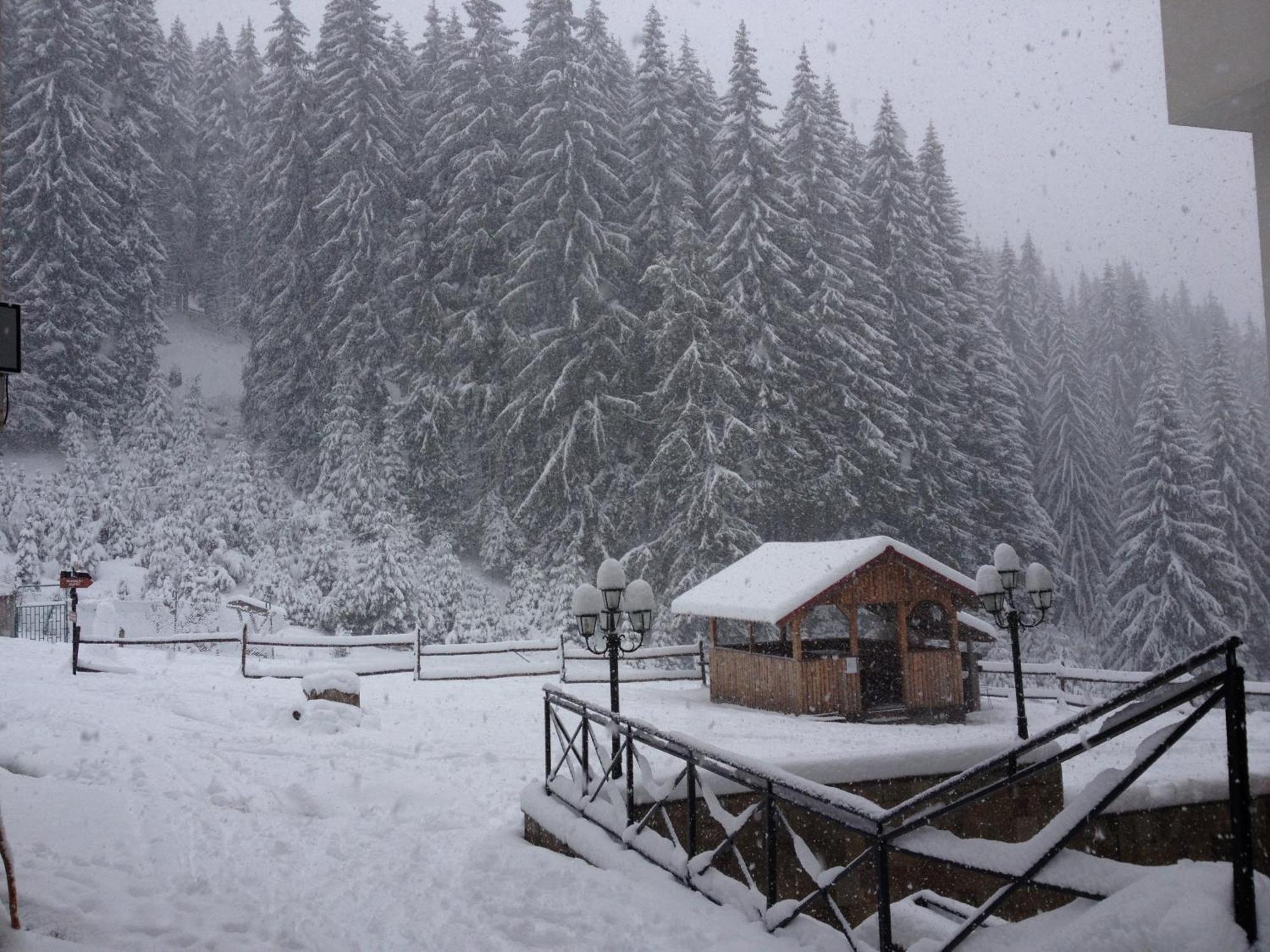Ski Apartment In Castle Complex Pamporovo Exterior photo